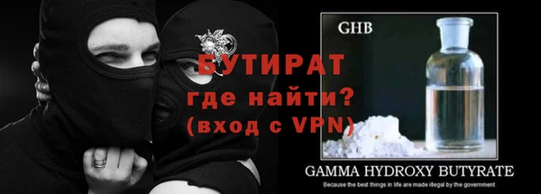прущие грибы Покров