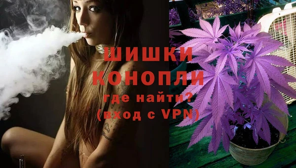 стаф Балахна