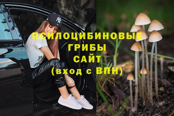 стаф Балахна