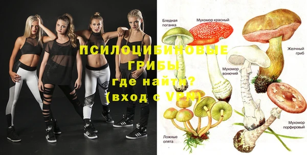 стаф Балахна