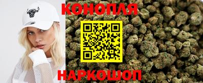 дмт Донской