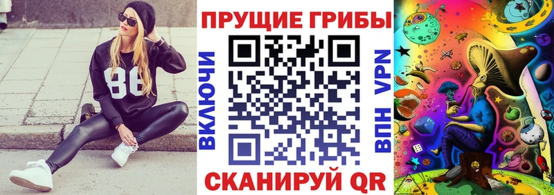 даркнет сайт  darknet наркотические препараты  Галлюциногенные грибы прущие грибы  Нерюнгри 